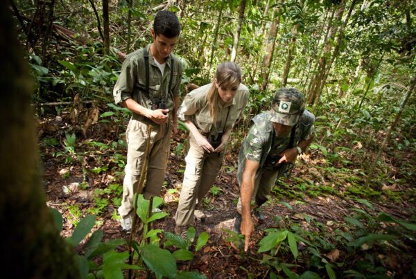 Turistas na floresta em experiência de turismo regenerativo