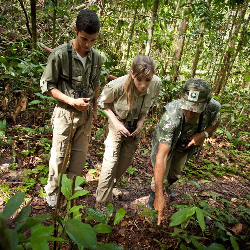 Turistas na floresta em experiência de turismo regenerativo